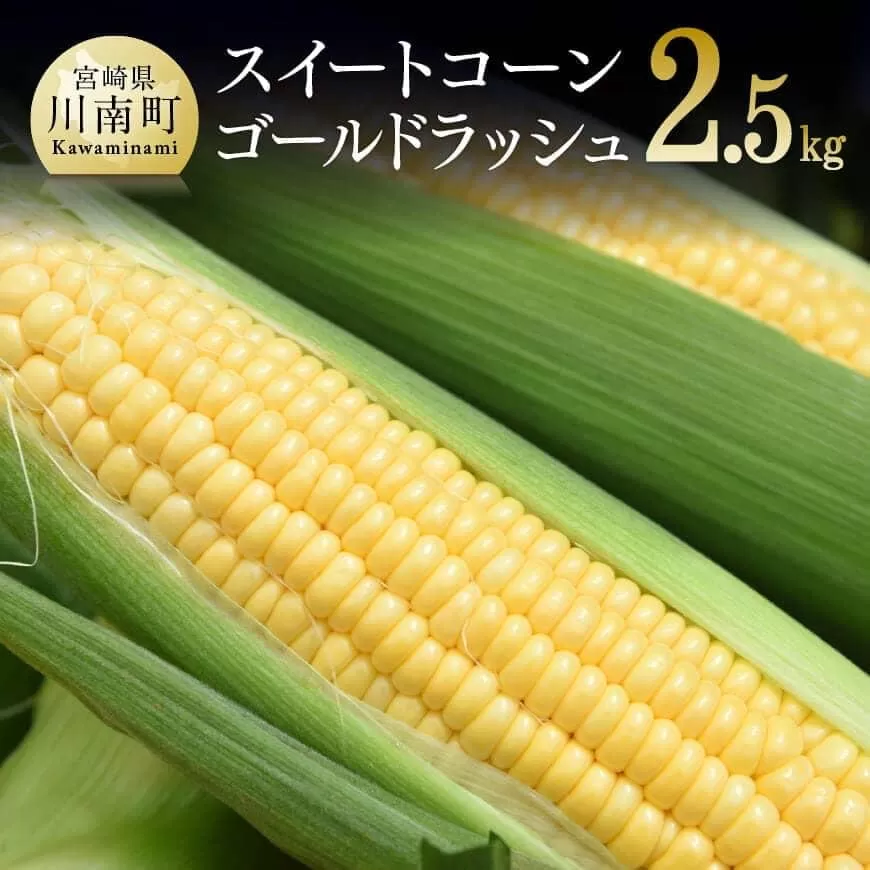 [令和7年発送]朝どれ!守部さんちのゴールドラッシュ2.5kg とうもろこし スイートコーン トウモロコシ スィートコーン 令和7年発送 先行予約 数量限定 期間限定