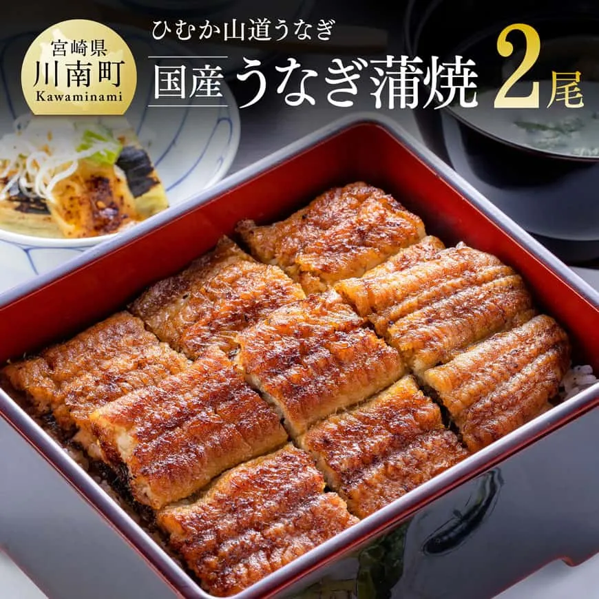 【名店の味！宮崎県産鰻】 ひむか山道うなぎ蒲焼２尾分（260ｇ以上） うなぎ 魚介類 鰻 惣菜