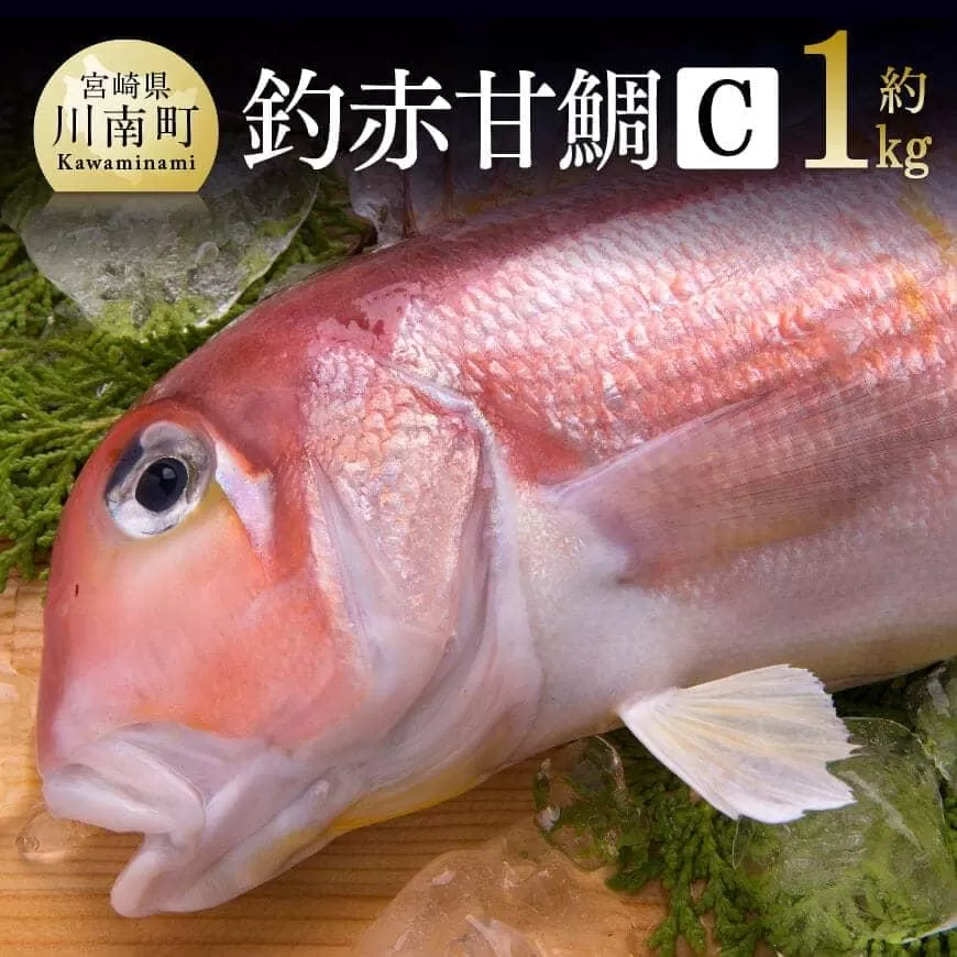 『釣赤甘鯛 C』 鮮魚 さかな 九州 宮崎 川南町 新鮮 魚介 海の幸 魚