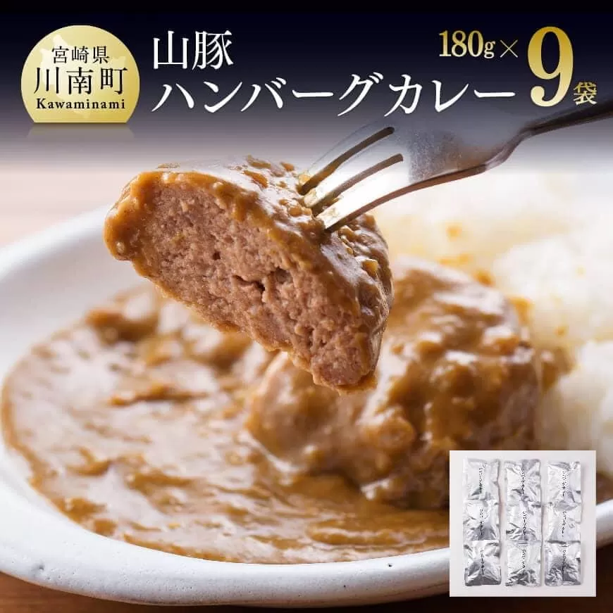 きじょん山豚 ハンバーグカレー 9食分(180g×9袋) 肉 豚肉 加工品 惣菜 レトルト 宮崎県産ブランド豚 おかず ハンバーグ カレーライス 簡単調理