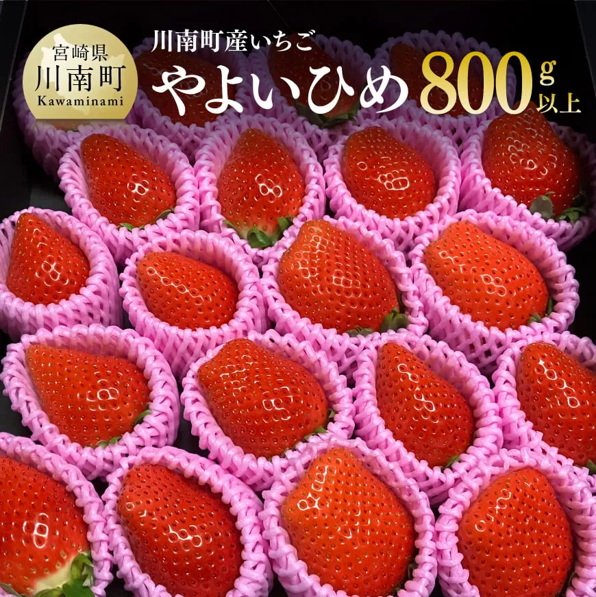 [令和8年発送]宮崎県産いちご(川南町産) 「やよいひめ」計800g 先行予約 期間限定 果物 イチゴ 苺 フルーツ