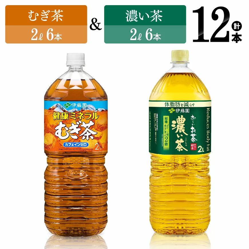 伊藤園 むぎ茶(2L)&濃い茶(2L)(PET)12本 伊藤園 飲料類 お茶 麦茶 濃い茶 緑茶 PET セット 詰め合わせ 飲みもの