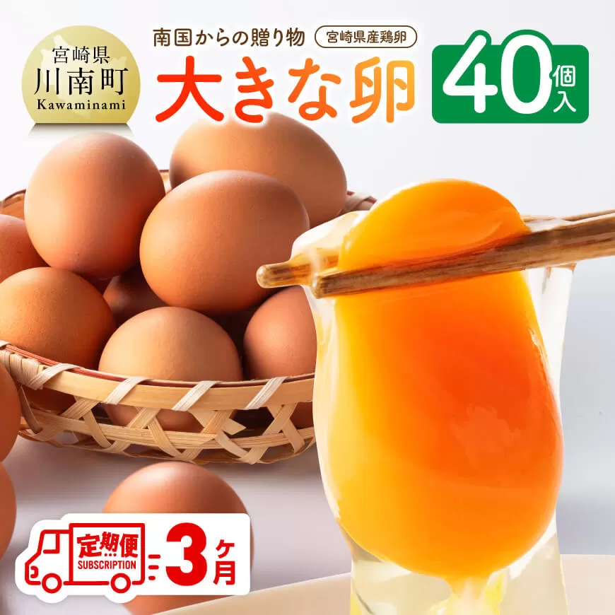 【3ヶ月定期便】 宮崎県産鶏卵 「南国からの贈り物」大きな卵40個入り（35個+破損補償5個） 卵 たまご 新鮮 生卵 タマゴ おうち時間