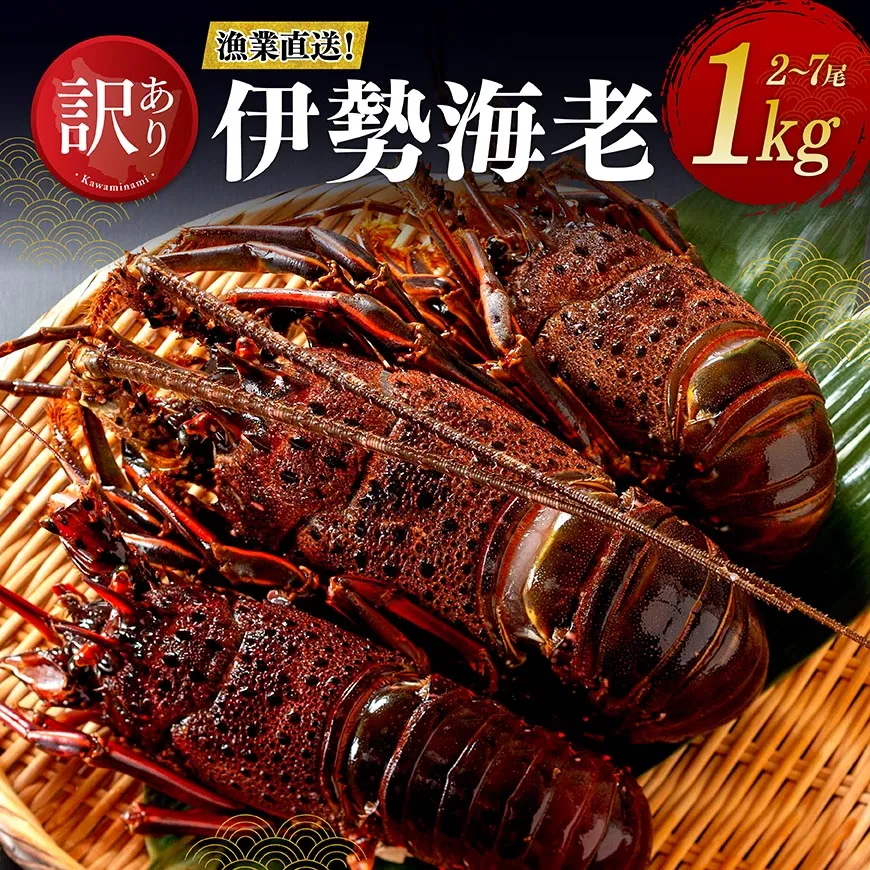 【訳あり！】【漁協直送！】冷凍伊勢海老1kg（2～7尾） 魚介 伊勢海老 イセエビ 訳あり 宮崎県 川南町 送料無料