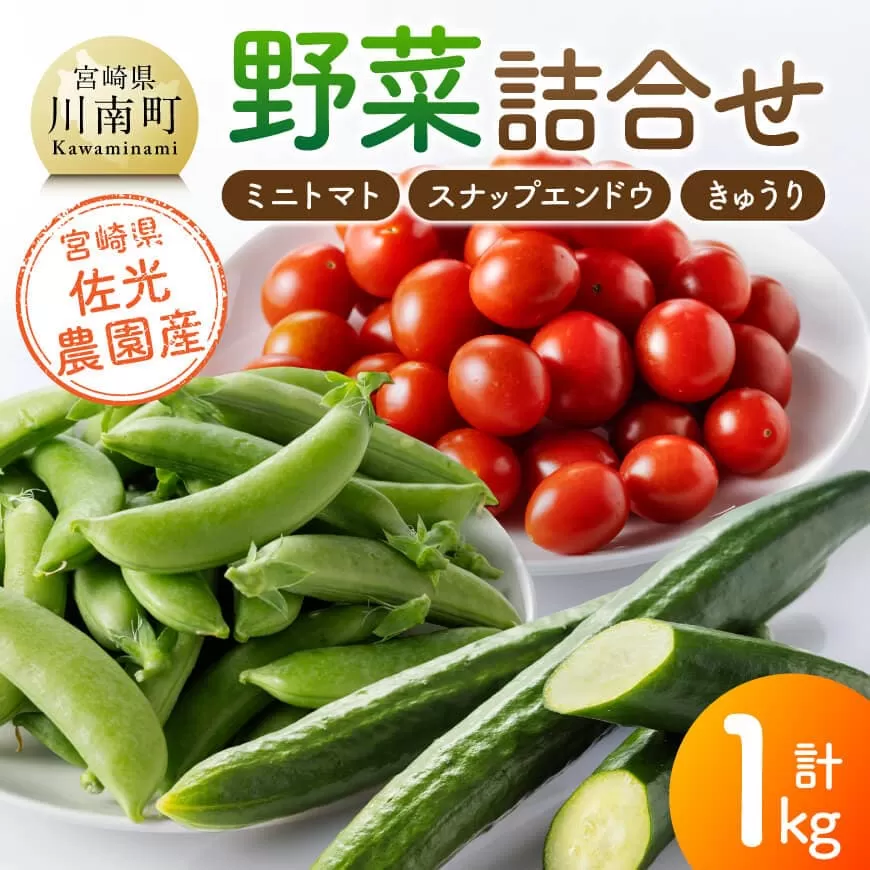 宮崎県佐光農園産　野菜詰め合わせ（ミニトマト・スナップエンドウ・きゅうり）計1kg ミニトマト スナップエンドウ きゅうり 野菜 詰め合わせ