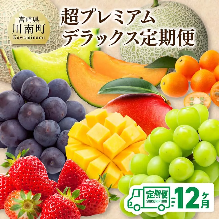 【 12ヶ月定期便 】 超 プレミアム デラックス 定期便 川南町産 くだもの きんかん いちご 完熟 マンゴー ぶどう ピオーネ シャイン マスカット 大玉 メロン