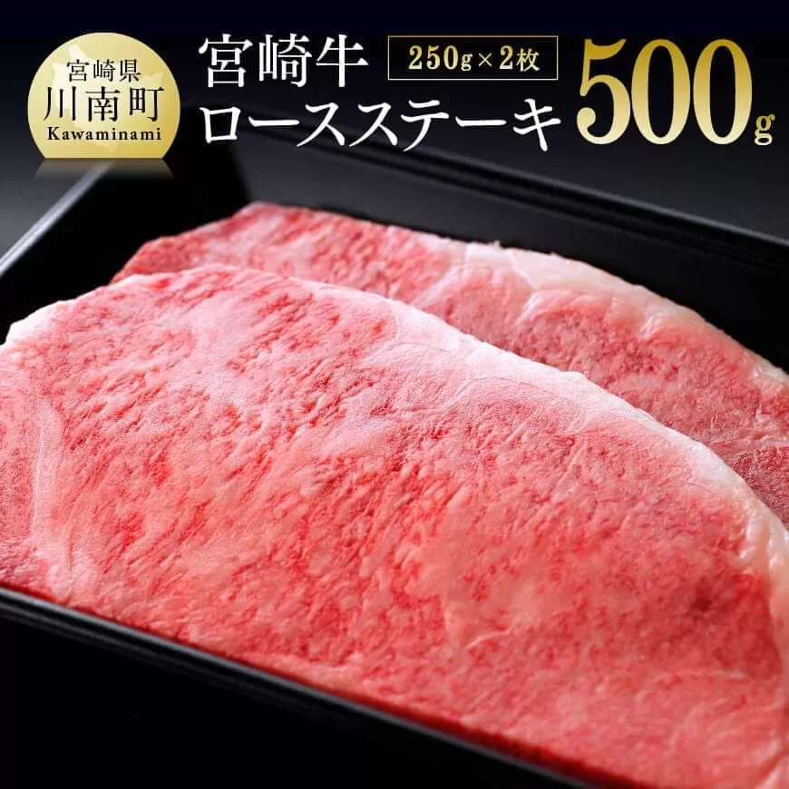 宮崎牛 ロースステーキ 500g (250g×2枚) 4大会連続日本一 肉 牛肉 国産 黒毛和牛 肉質等級4等級以上 4等級 5等級 ミヤチク 鉄板焼き