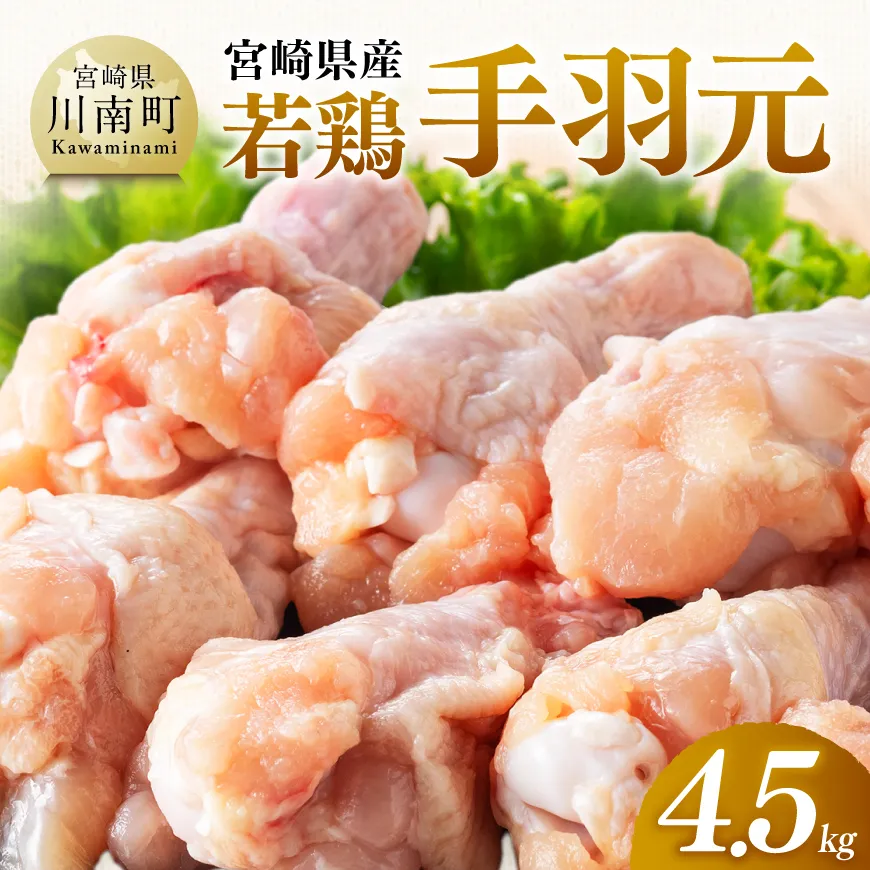 【宮崎県産】若鶏手羽元4.5kg(500g×9) ふるさと納税 鶏肉 肉 鶏 とり 国産鶏肉 九州産鶏肉 宮崎県産鶏肉 国産 九州産 宮崎県産 手羽元 おかず