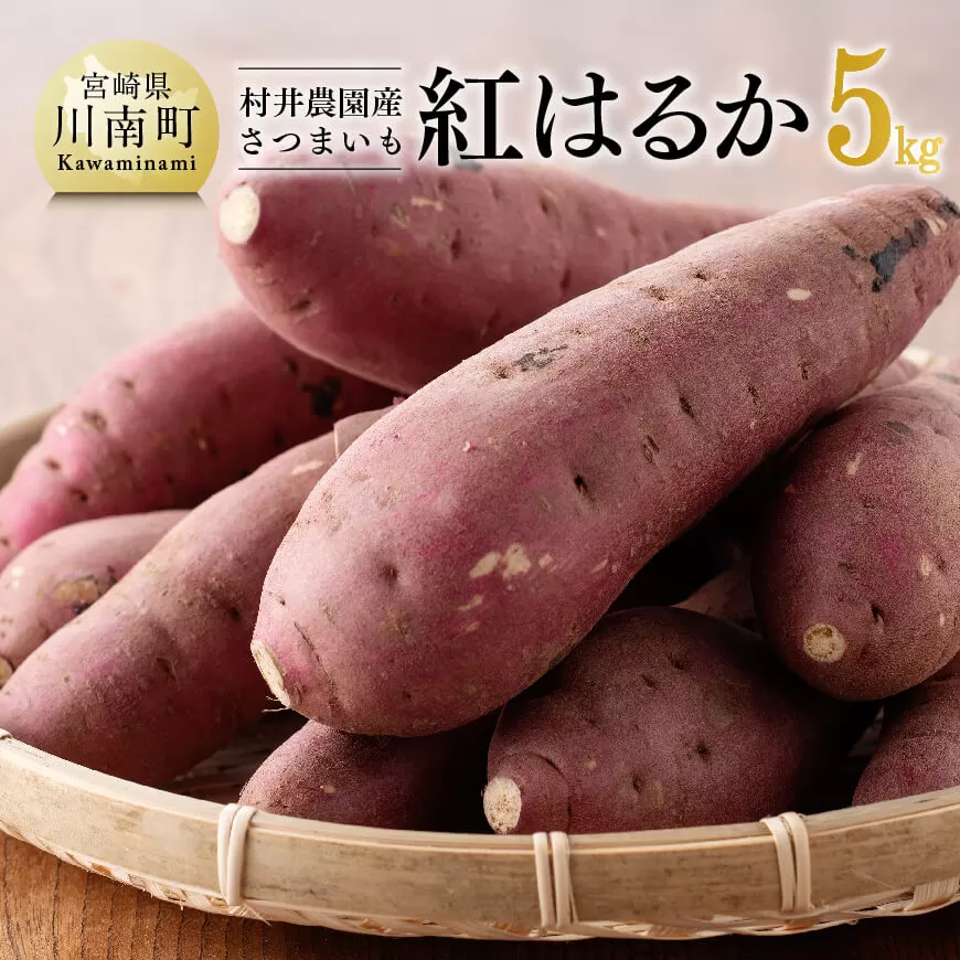 宮崎県産さつまいも　紅はるか5kg 【 宮崎県産 九州産 いも 芋 サツマイモ 野菜 】