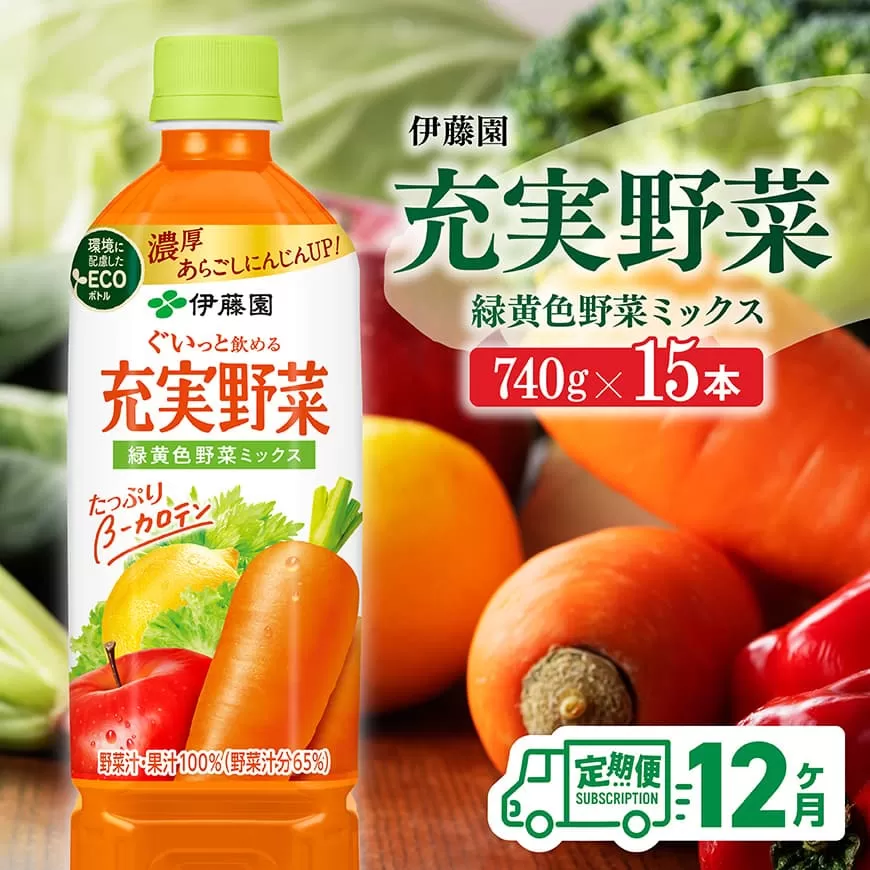 【 12ヶ月定期便 】 充実野菜 緑黄色野菜 ミックスペットボトル 740g×15本  伊藤園 野菜ジュース 全１２回 健康 ヘルシー