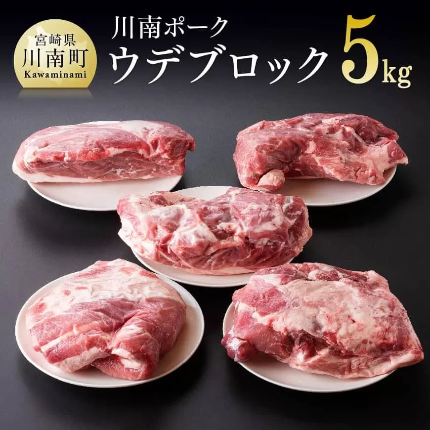 川南ポーク ウデ ブロック 5kg 国産 九州産 宮崎県産 肉 豚肉 うで肉 ブロック たっぷり 大容量