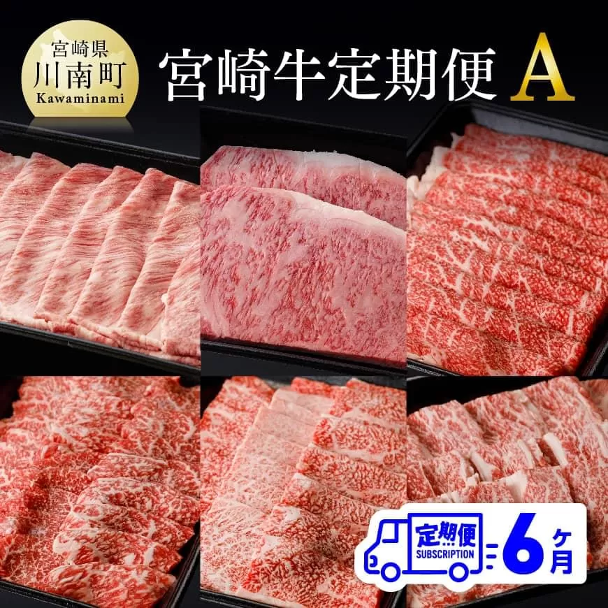 [6ヶ月定期便] 宮崎牛 定期便A 4大会連続日本一 肉 牛肉 国産 黒毛和牛 肉質等級4等級以上 4等級 5等級 ミヤチク ステーキ 焼肉 全6回 定期便
