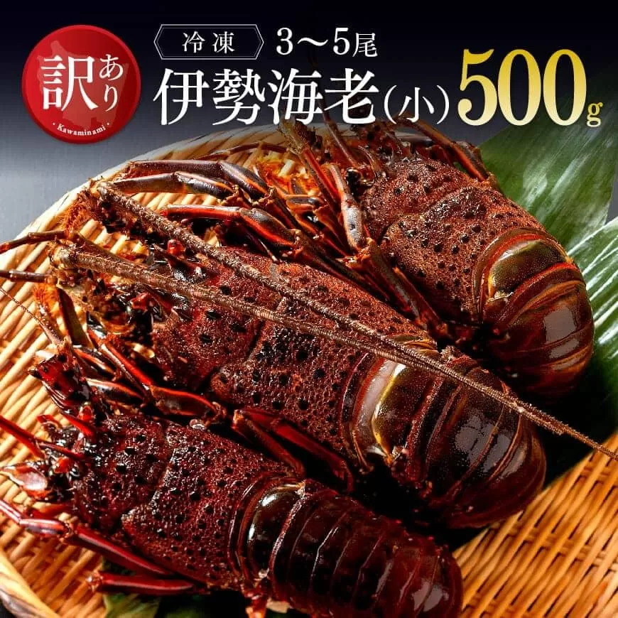 [訳あり]冷凍伊勢海老(小)500g (3〜5尾) 魚介 伊勢海老 イセエビ 訳あり 宮崎県 川南町 送料無料