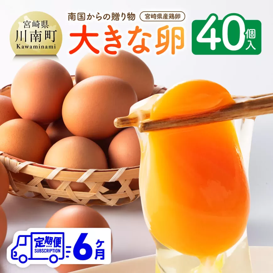 【6ヶ月定期便】宮崎県産鶏卵　「南国からの贈り物」大きな卵40個入り（35個+破損補償5個） 卵 たまご 新鮮 生卵 タマゴ おうち時間