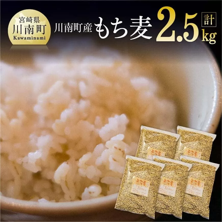 令和7年産 もち麦 2.5kg(500g×5袋) ふるさと納税 国産 麦 もち麦 食物繊維 数量限定 宮崎県産 川南町産 送料無料