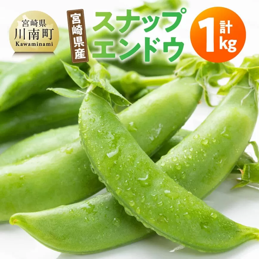 宮崎県産　スナップエンドウ1kg  宮崎県産 川南町産 スナップエンドウ