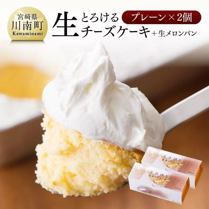 『押川春月堂本店』とろける生チーズケーキ（プレーン2個） スイーツ ケーキ チーズケーキ 洋菓子 お菓子 おまけつき 菓子