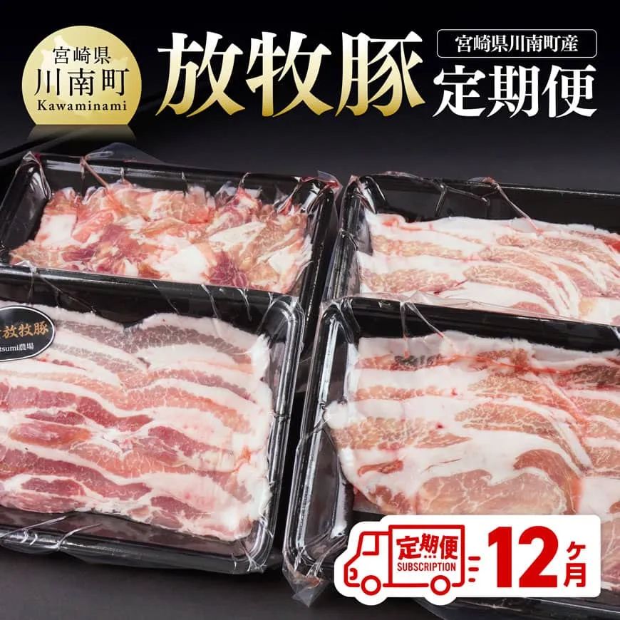 [12ヶ月定期便]宮崎県川南町産豚肉 放牧豚定期便 豚 肉 豚肉 国産 九州産 宮崎県産 川南町 加工品 セット 送料無料