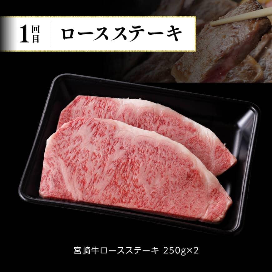 6ヶ月定期便】 宮崎牛 定期便B 4大会連続日本一 肉 牛肉 国産