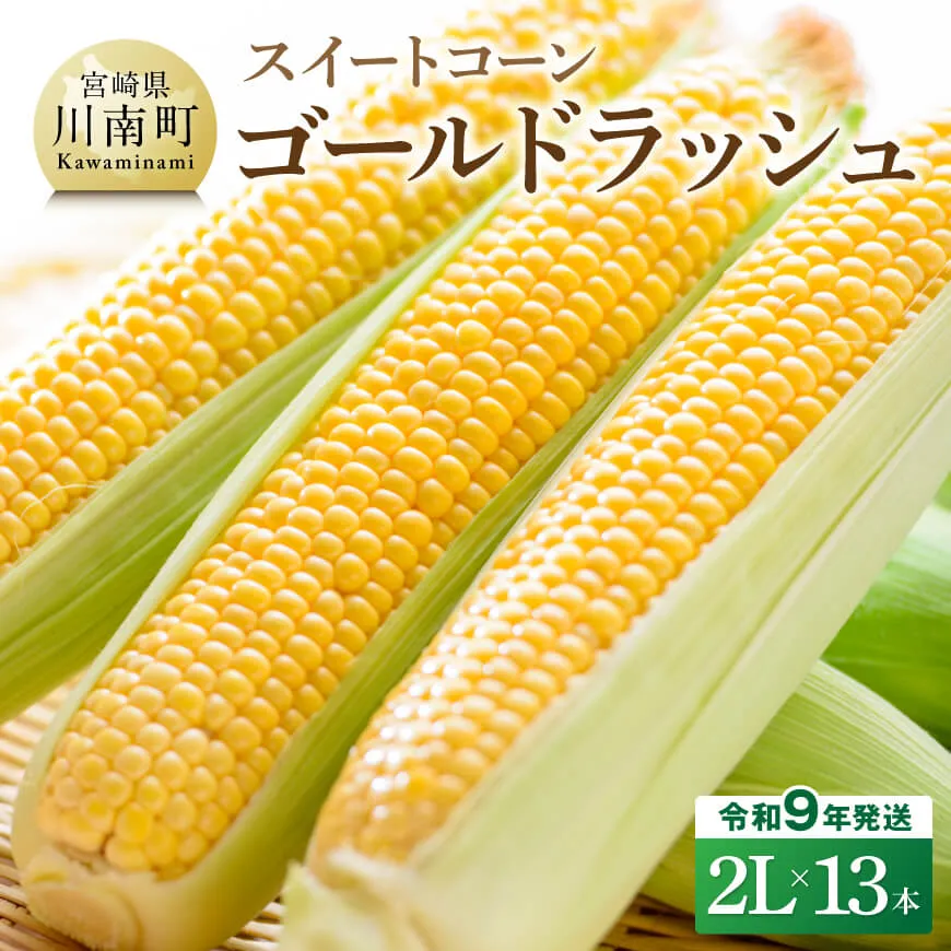 【令和9年産】スイートコーン「ゴールドラッシュ」2L×13本 新鮮 農家直送 トウモロコシ 産地直送 季節限定 期間限定 宮崎県産 九州産