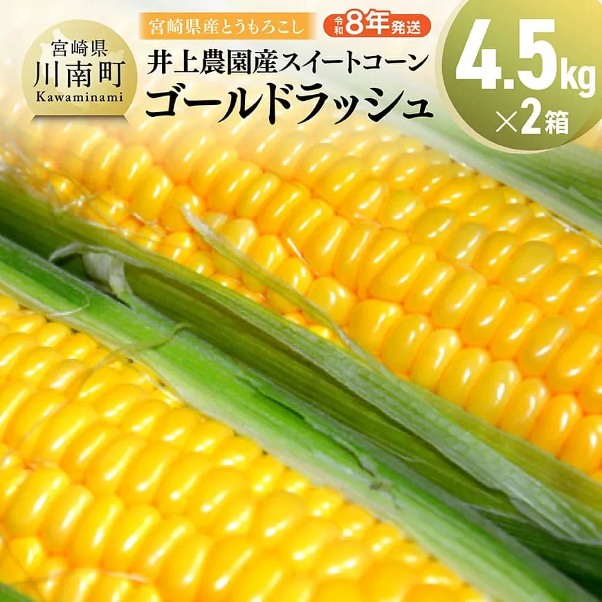 【令和8年発送】宮崎県産とうもろこし　井上農園産スイートコーン(ゴールドラッシュ)4.5kg×2 トウモロコシ スィートコーン 2026年発送 先行予約 数量限定 期間限定 野菜