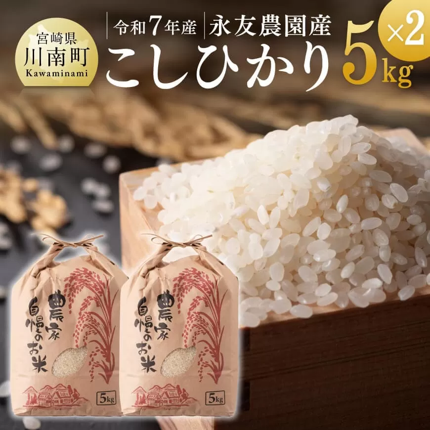 【令和7年産】永友農園産「こしひかり」10kg(5kg×2) 米 お米 白米 精米 国産 宮崎県産 コシヒカリ 