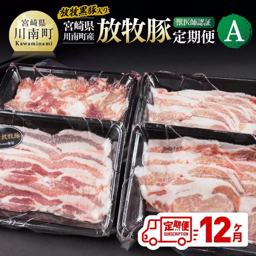 【12ヶ月定期便】宮崎県川南町産豚肉　放牧豚定期便A（放牧黒豚入り） 豚 肉 豚肉 黒豚 国産 九州産 宮崎県産 川南町 加工品 セット 送料無料