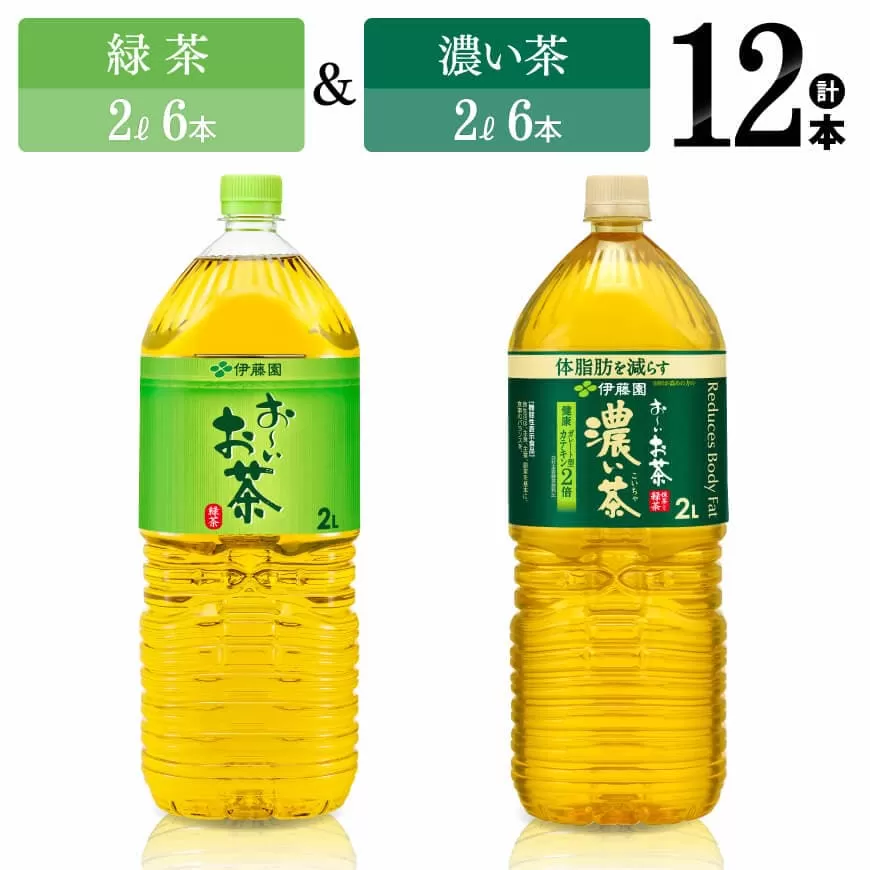 伊藤園 おーいお茶 緑茶(2L)&濃い茶(2L)(PET)12本 伊藤園お茶 飲料類お茶 緑茶お茶 お茶 濃い茶 PET お茶セット 詰め合わせお茶 飲みものお茶 お茶