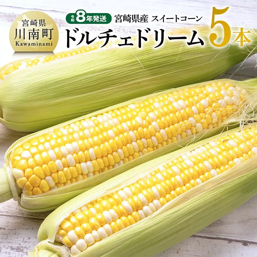 【令和8年発送】宮崎県産とうもろこし　スィートコーン「ドルチェドリーム」5本 とうもろこし スイートコーン コーン 野菜