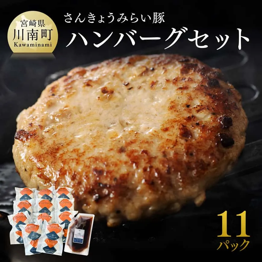 【令和8年11月発送】さんきょうみらい豚 ”ふんわりやわらか” ハンバーグセット(90g×11P、ソース200g付) 豚肉 国産 肉 豚 おかず 惣菜 ハンバーグ