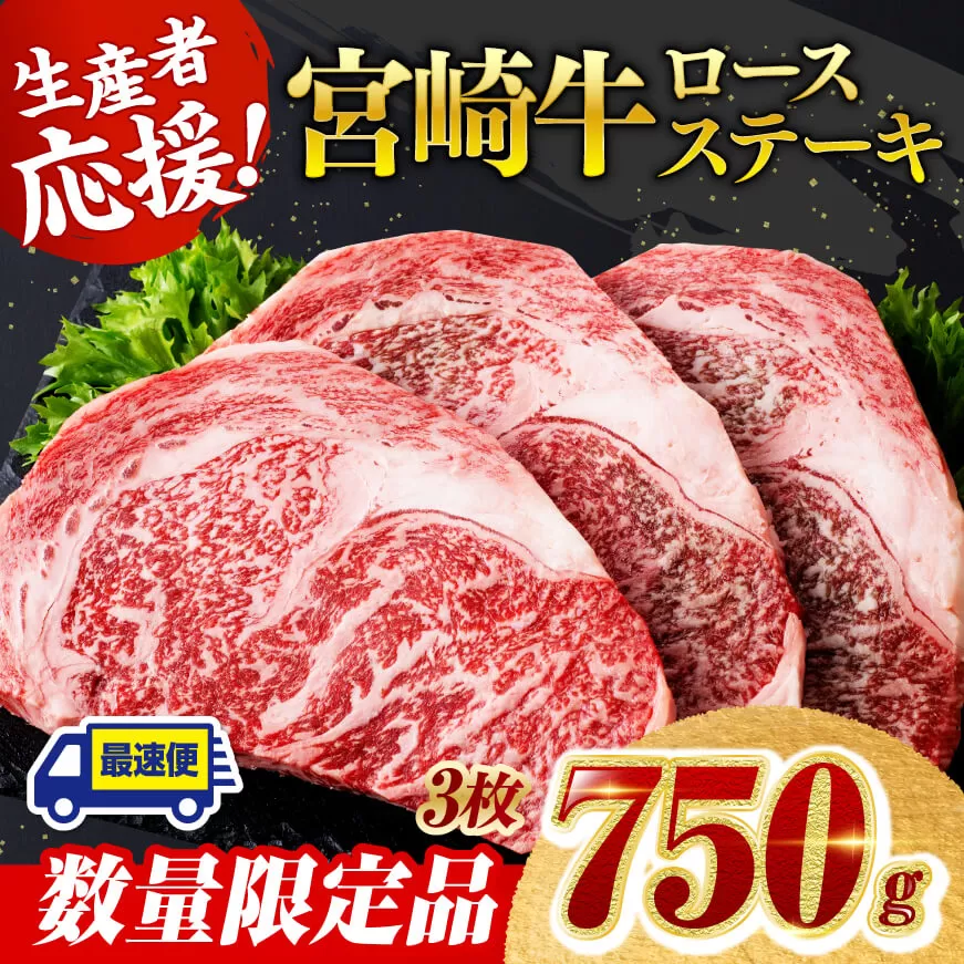 《数量限定》宮崎牛ロースステーキ3枚 (750g)【 肉 牛肉 宮崎県産 黒毛和牛ミヤチク】