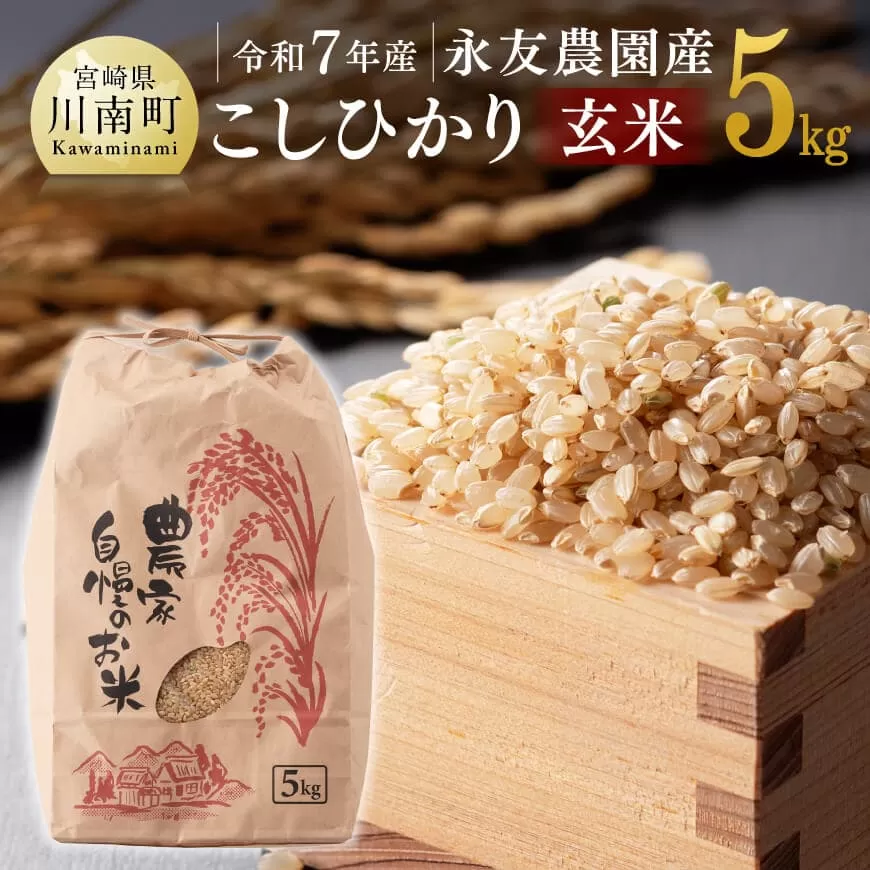 [令和7年産]永友農園産「こしひかり(玄米)」5kg 米 お米 玄米 国産 宮崎県産 コシヒカリ