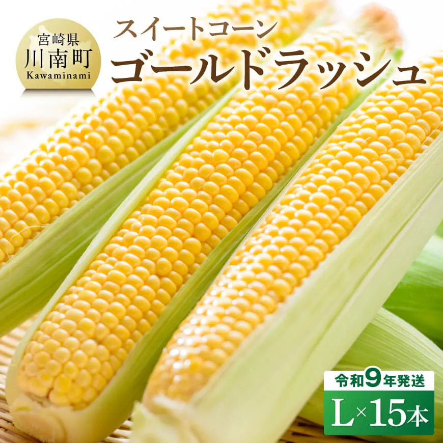 【令和9年産】スイートコーン「ゴールドラッシュ」L×15本 新鮮 農家直送 トウモロコシ 産地直送 季節限定 期間限定 宮崎県産 九州産