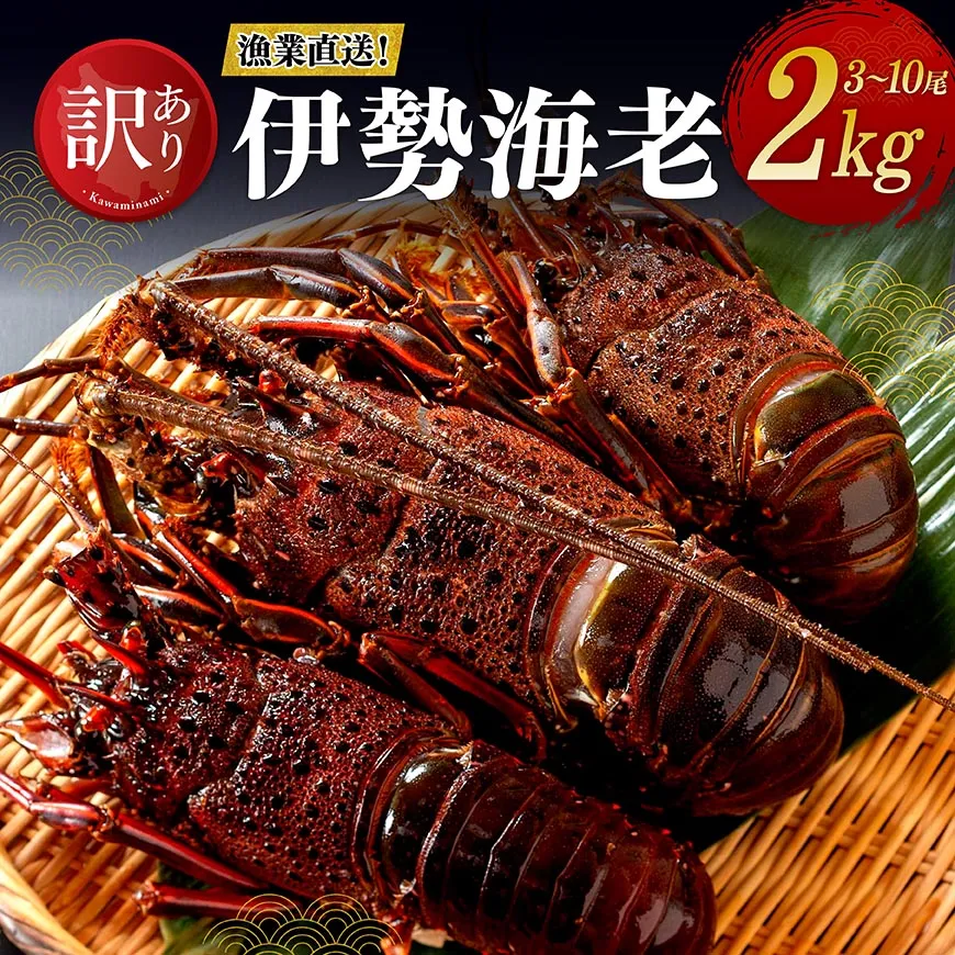 【訳あり！】【漁協直送！】冷凍伊勢海老2kg（3～10尾） 魚介 伊勢海老 イセエビ 訳あり 宮崎県 川南町 送料無料