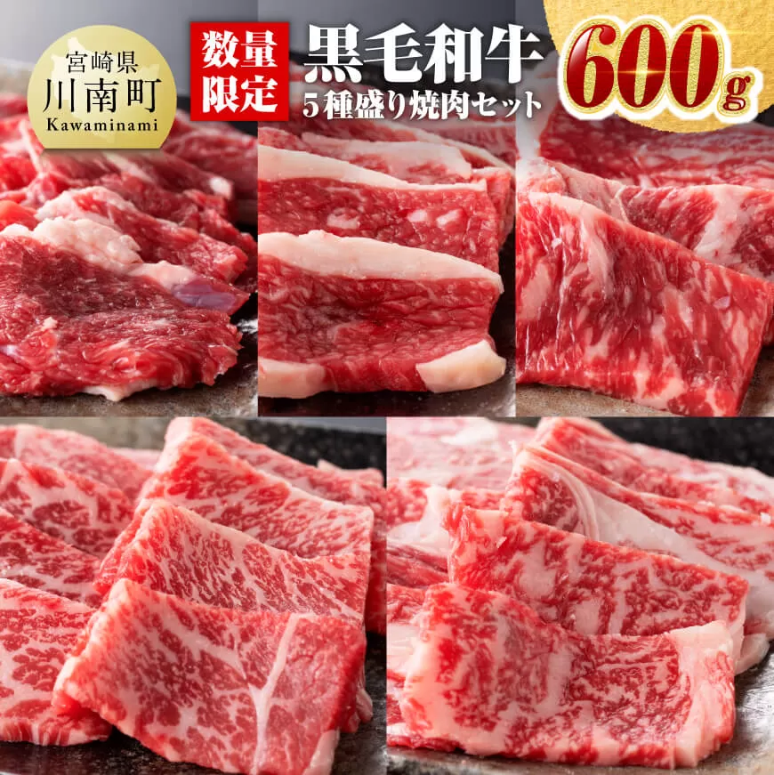 黒毛和牛 5種盛り 焼肉セット（数量限定）600g 牛肉 国産 宮崎県産 黒毛和牛 ミヤチク