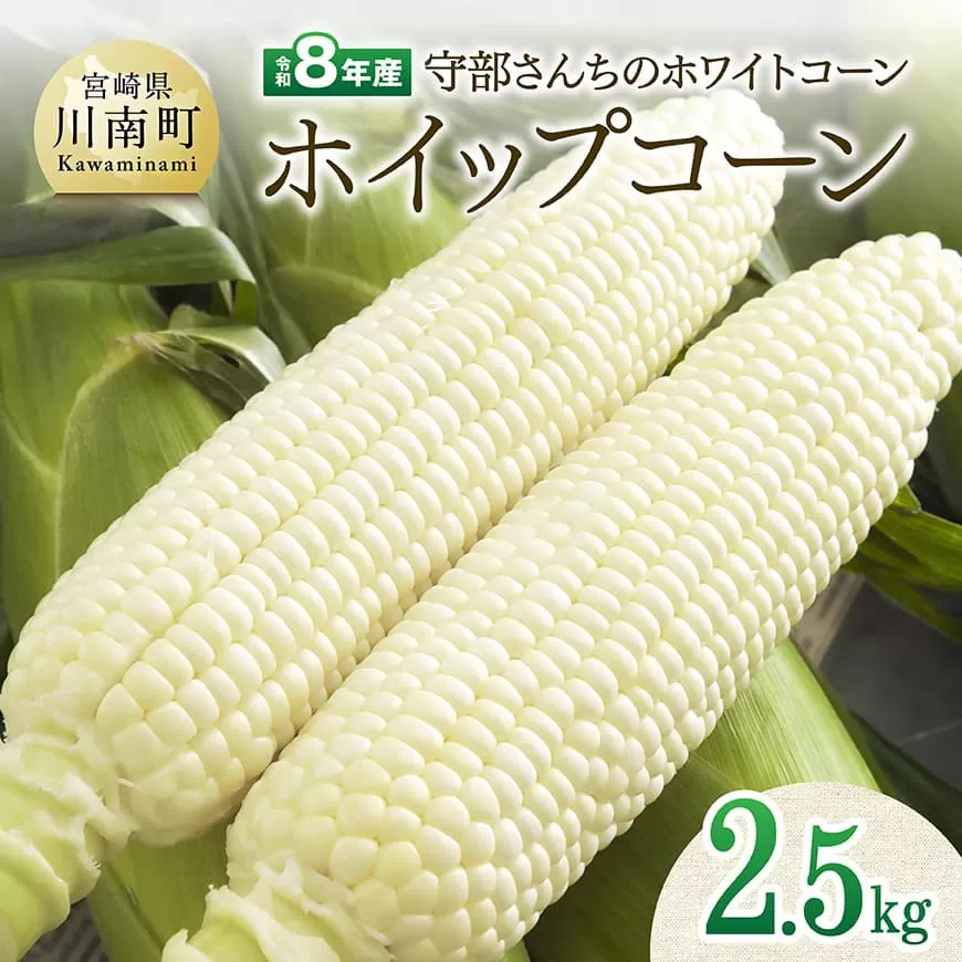 [令和8年発送]宮崎県産とうもろこし 守部さんちのホワイトコーン「ホイップコーン」2.5kg とうもろこし ホワイトコーン トウモロコシ ホイップコーン 令和8年発送 先行予約 数量限定 期間限定