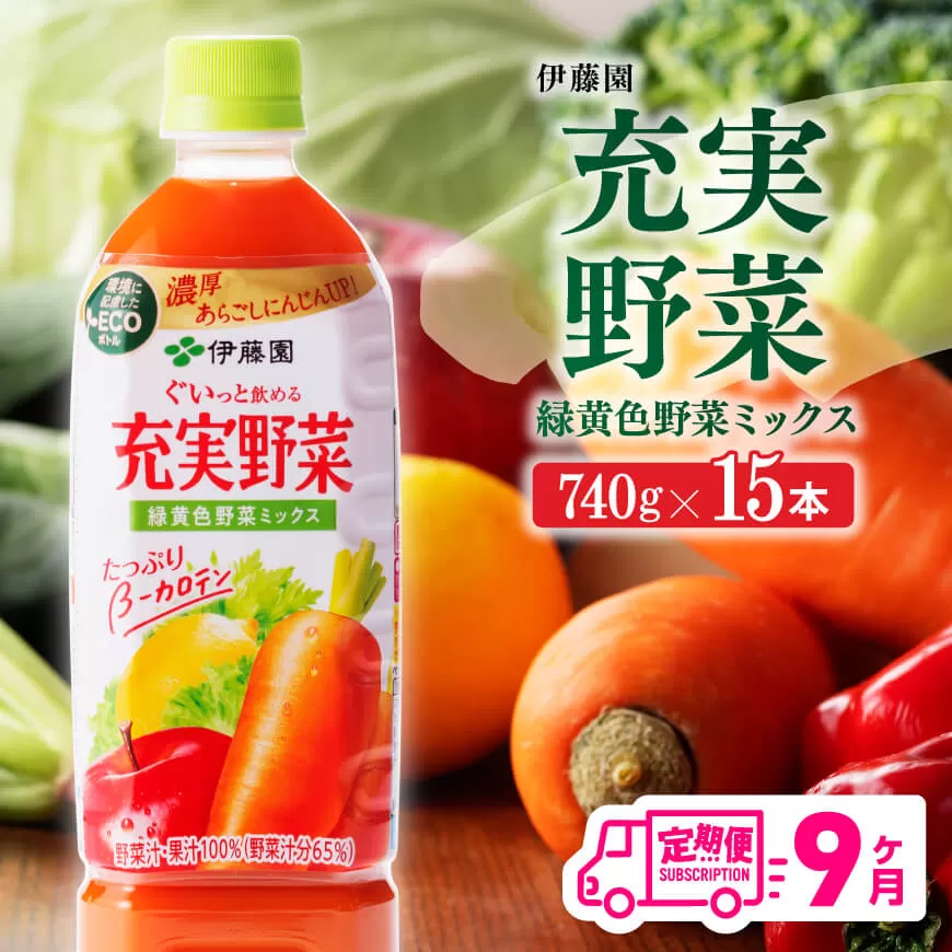 【 定期便 】充実野菜 緑黄色野菜ミックスペットボトル 740g×15本 9ヶ月定期便 伊藤園 野菜ジュース 全９回 健康 ヘルシー