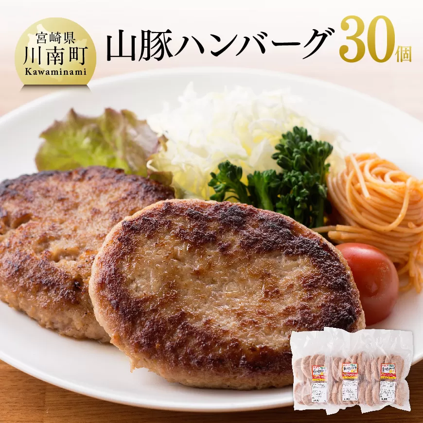 きじょん山豚 ハンバーグ 30個 肉 豚肉 加工品 惣菜 宮崎県産ブランド豚 おかず ポークハンバーグ 焼くだけ 簡単調理 たっぷり 大容量