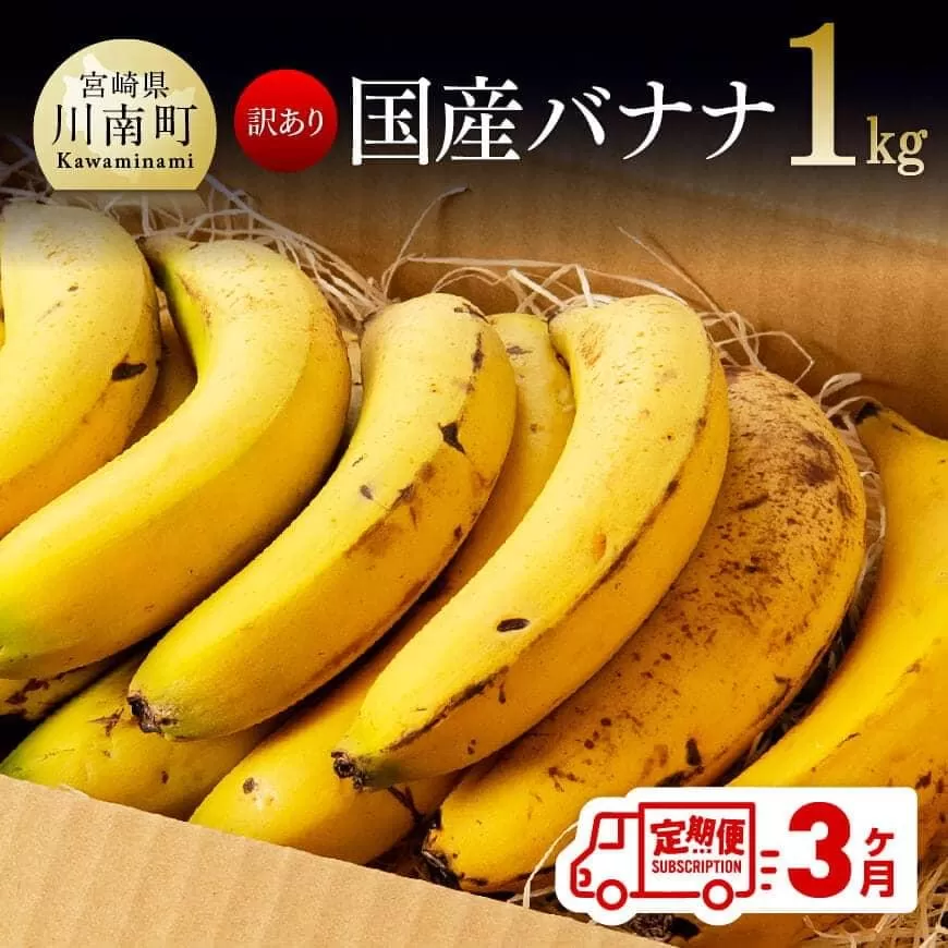 新【定期便】【訳あり】国産バナナ1kg 3ヶ月定期便 国産 バナナ 無農薬 フルーツ 果物 デザート 朝食 スムージー 川南町 全3回