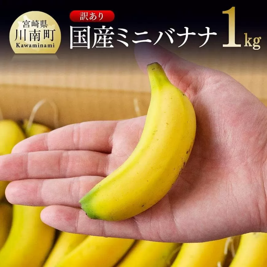 [訳あり]国産ミニバナナ1kg 国産 バナナ 無農薬 フルーツ 果物 デザート 朝食 スムージー 訳ありバナナ