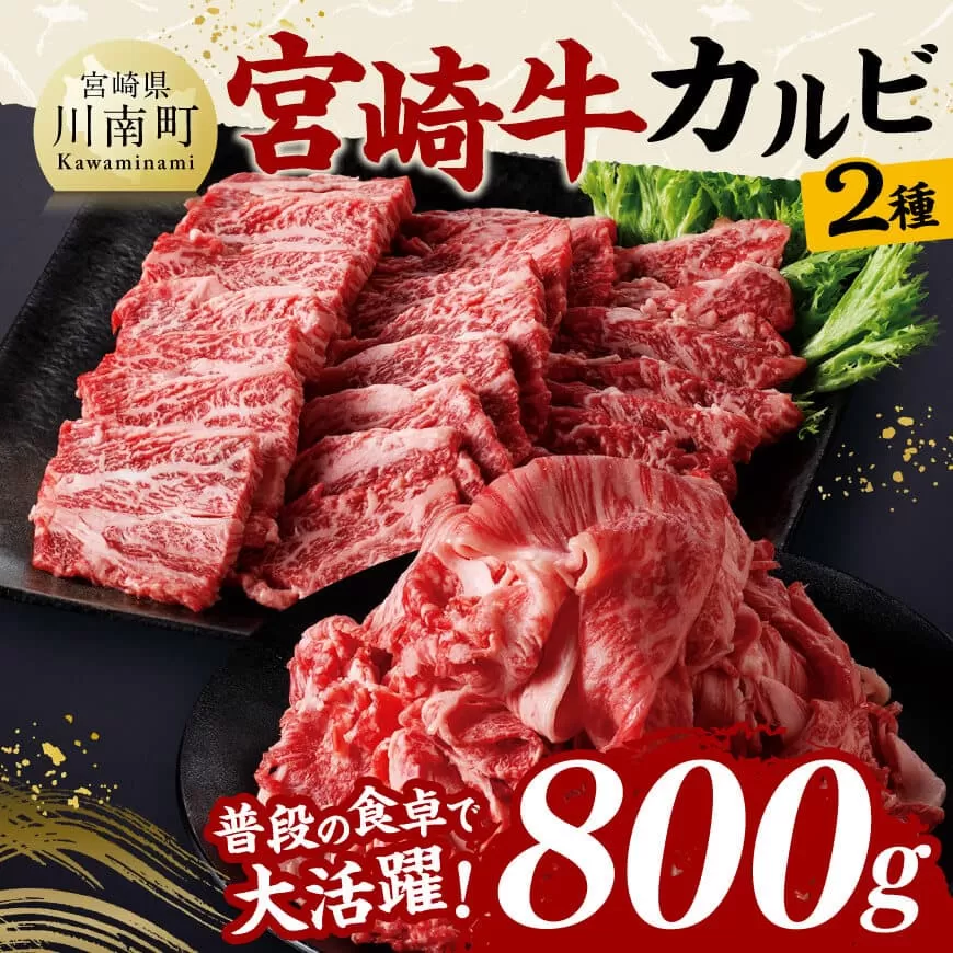 宮崎牛カルビ焼肉・切り落としセット合計800ｇ 肉 牛肉 国産 黒毛和牛 宮崎牛 焼肉 宮崎県 川南町