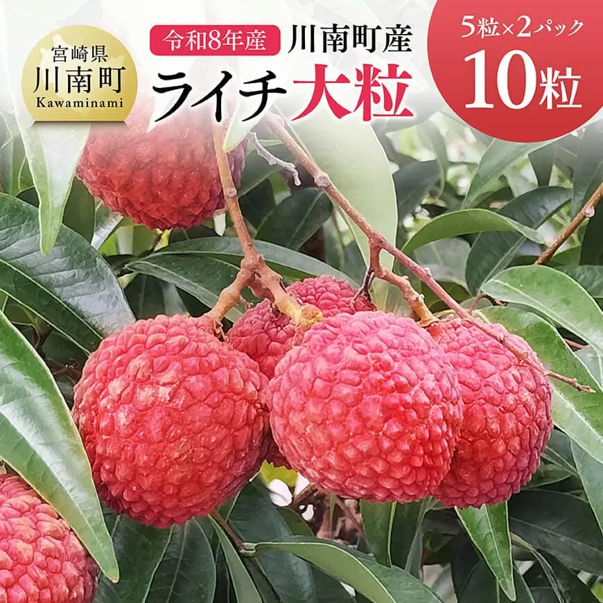【令和8年産】川南町産ライチ（大粒）10粒(5粒×2パック) 国産ライチ フルーツ デザート 宮崎県産