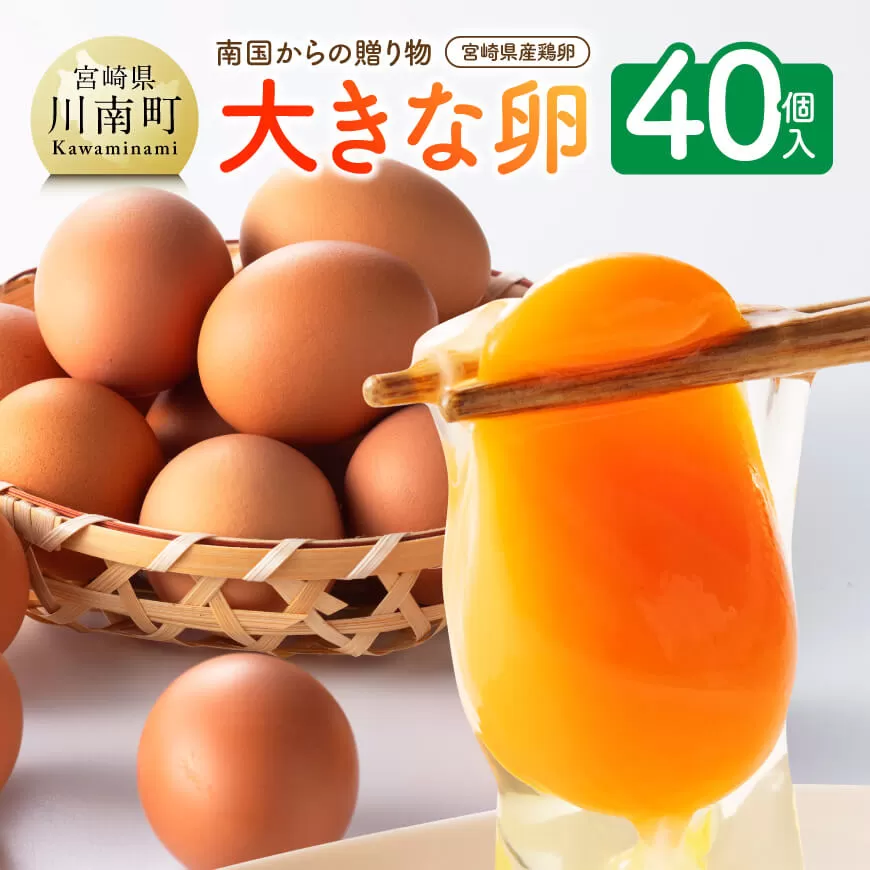 宮崎県産鶏卵　「南国からの贈り物」大きな卵40個入り（35個+破損補償5個） 卵 たまご 新鮮 生卵 タマゴ おうち時間
