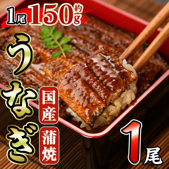 国産 うなぎ 蒲焼 (約150g×1尾) 鰻 タレ かば焼き うな重 うな丼 ひつまぶし 小分け 真空包装 真空パック 【AW-91】【丸正水産】