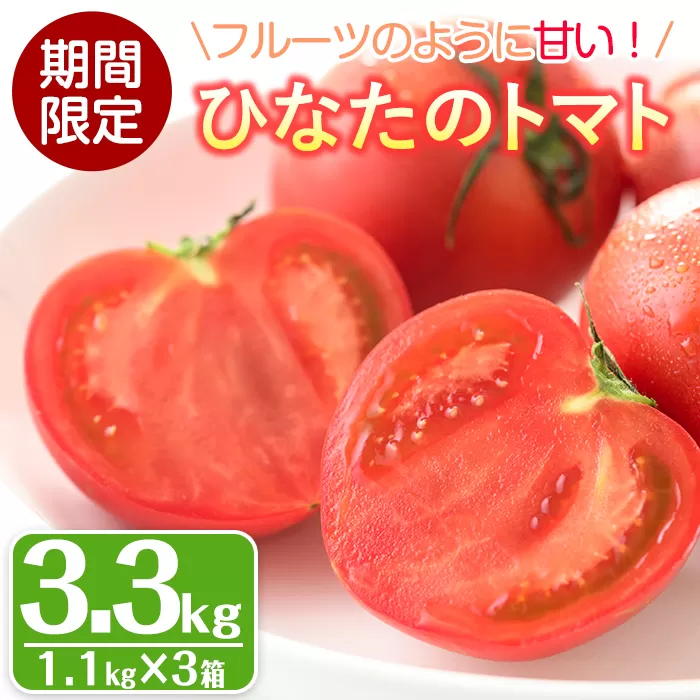 <先行予約受付中!2026年2月から順次発送予定>ひなたのとまと(計3.3kg・1.1kg×3箱)トマト フルーツトマト 糖度 9度 以上 野菜 旬野菜 冷蔵 門川町産【A-5】【新門トマト農園】
