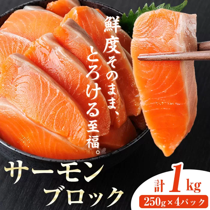 生食用 サーモン ブロック(計1kg・250g×4P) 鮭 小分け 真空 パック 冷凍 刺身 シャケ サケ 魚 魚介 【AW-100】【丸正水産】