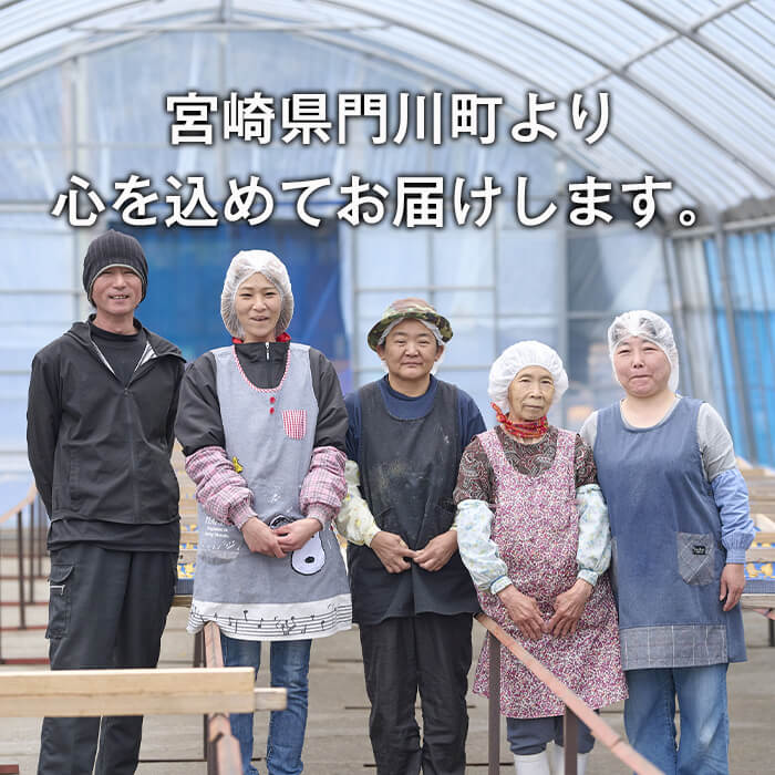 数量限定＞【冷凍】焼き芋・紅はるか(計2kg・500g×4袋)冷凍 焼芋