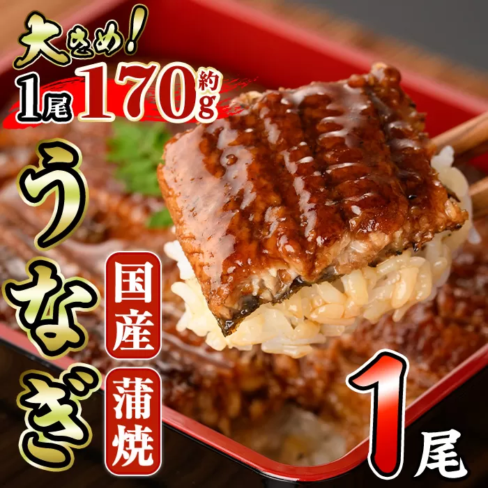 国産 うなぎ 蒲焼 (約170g×1尾) 鰻 タレ かば焼き うな重 うな丼 ひつまぶし 小分け 真空包装 真空パック 【AW-89】【丸正水産】