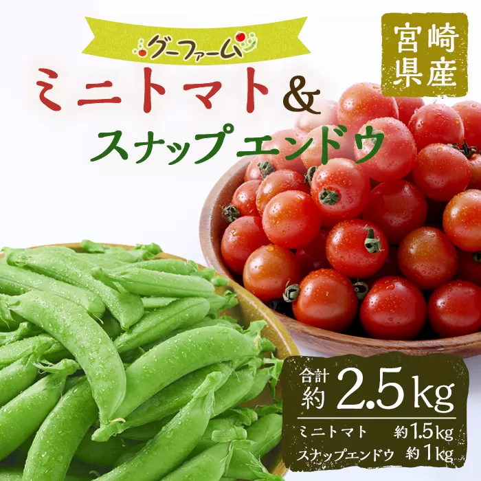 ＜先行予約受付中！2026年2月下旬～4月上旬の間に発送予定＞＜期間限定＞ミニトマト(約1.5kg)とスナップエンドウ(約1kg)野菜 とまと えんどう豆 フルーツトマト サンチェリーピュア ダルタリー アイコ サラダ【GF-3】【グーファーム】