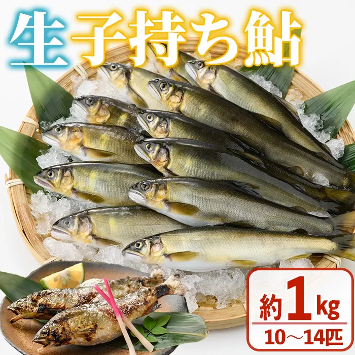 [北海道・離島不可][先行予約受付中!2025年10月〜11月中旬の間に発送予定][期間限定]生子持ち鮎(約1kg・10〜14匹)[米良水産]